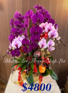 Table Arrangement - Premium CODE 63791